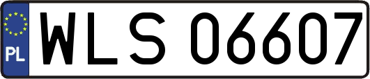 WLS06607