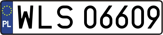 WLS06609