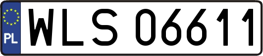 WLS06611