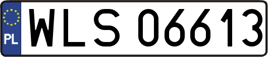 WLS06613