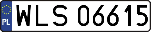 WLS06615