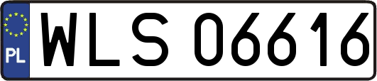 WLS06616