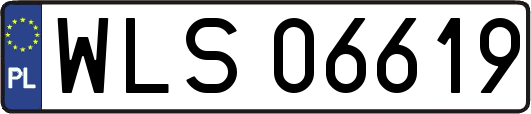 WLS06619