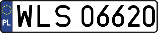 WLS06620