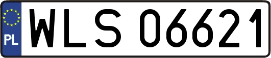 WLS06621