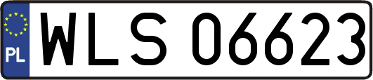 WLS06623