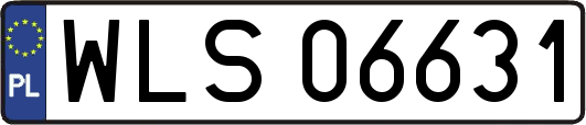 WLS06631