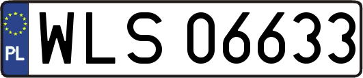 WLS06633