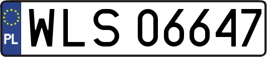 WLS06647
