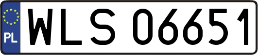 WLS06651