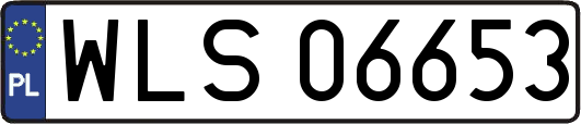 WLS06653