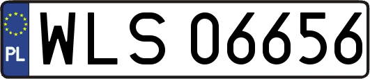 WLS06656