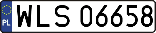 WLS06658