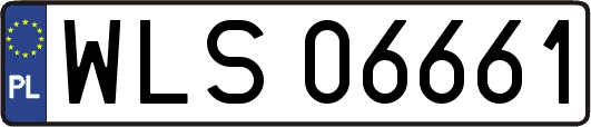 WLS06661