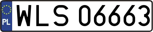 WLS06663