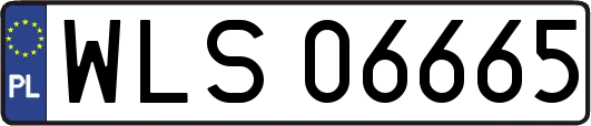WLS06665