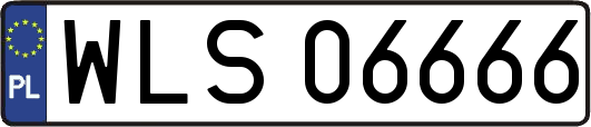 WLS06666