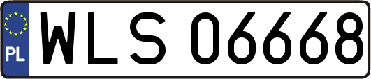 WLS06668