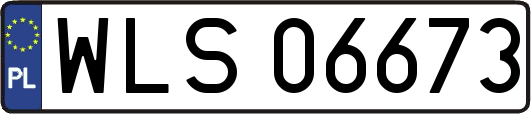 WLS06673