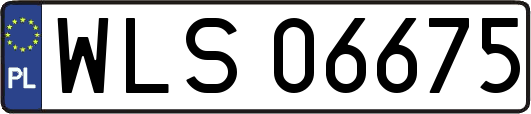WLS06675