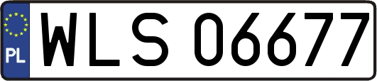 WLS06677