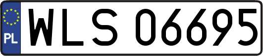 WLS06695