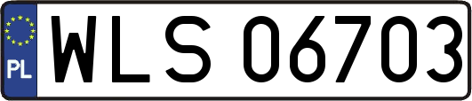 WLS06703