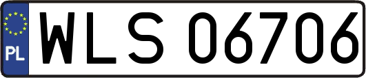 WLS06706