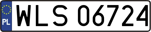 WLS06724