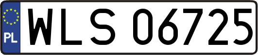 WLS06725