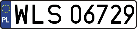 WLS06729