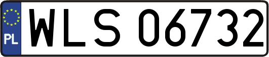 WLS06732