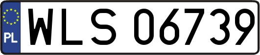 WLS06739