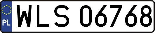 WLS06768