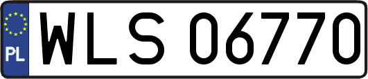 WLS06770