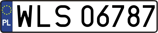 WLS06787