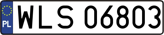 WLS06803