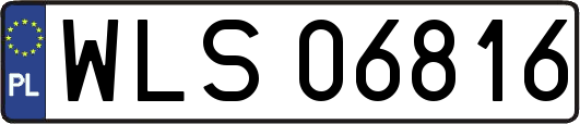 WLS06816