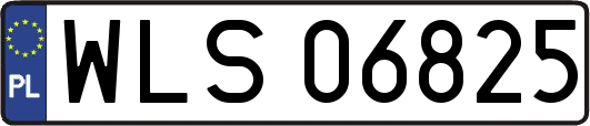 WLS06825