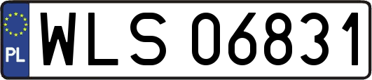 WLS06831