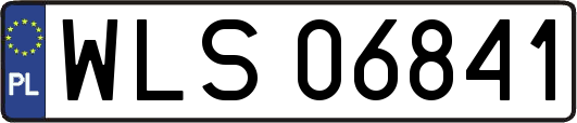 WLS06841