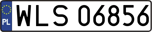 WLS06856