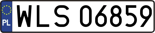 WLS06859