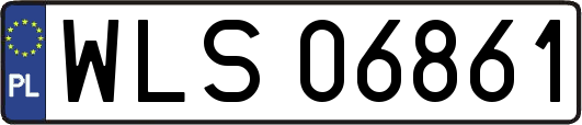 WLS06861