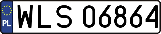 WLS06864