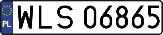 WLS06865