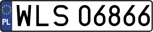 WLS06866