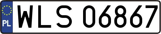 WLS06867