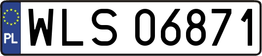 WLS06871
