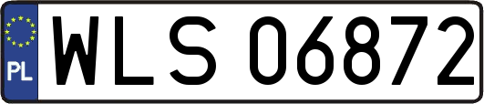 WLS06872